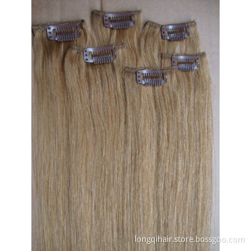 Clip in Human Hair Extension